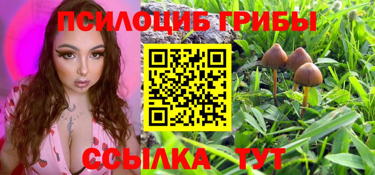 Нижний Тагил  Галлюциногенные грибы Psilocybe  даркнет сайт  Галлюциногенные грибы Psilocybine cubensis  Вход с VPN 